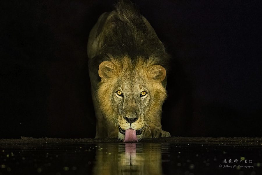 Kenya Wildlife Photo Safari-51