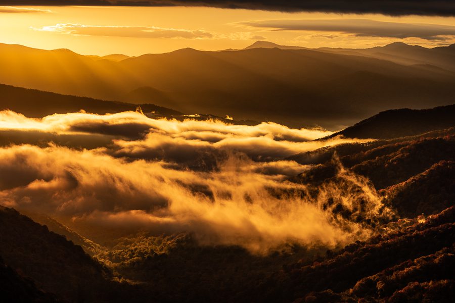 Great Smoky Mountains Photo Workshop Spring : Action Photo Tours