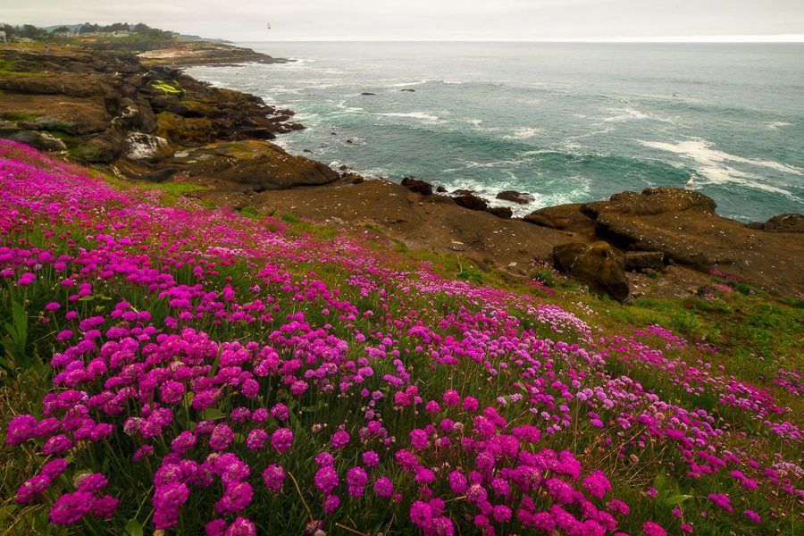 Central Oregon Coast Photo Workshop