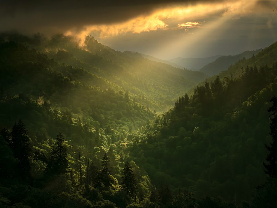Great Smoky Mountains Photo Workshop Spring