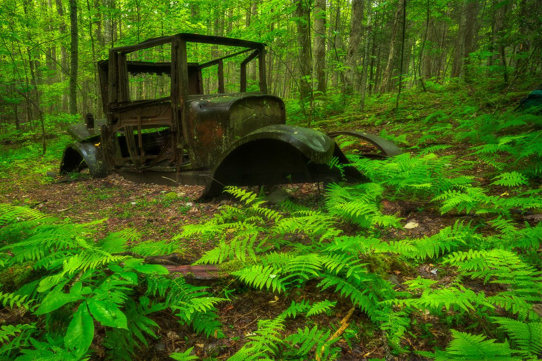 Great Smoky Mountains Spring Photo Workshop