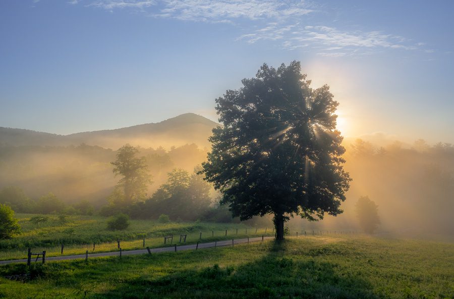 Great Smoky Mountains Photo Workshop Spring : Action Photo Tours