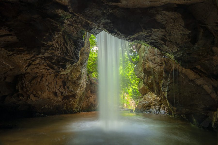 Great Smoky Mountains Spring Photo Workshop