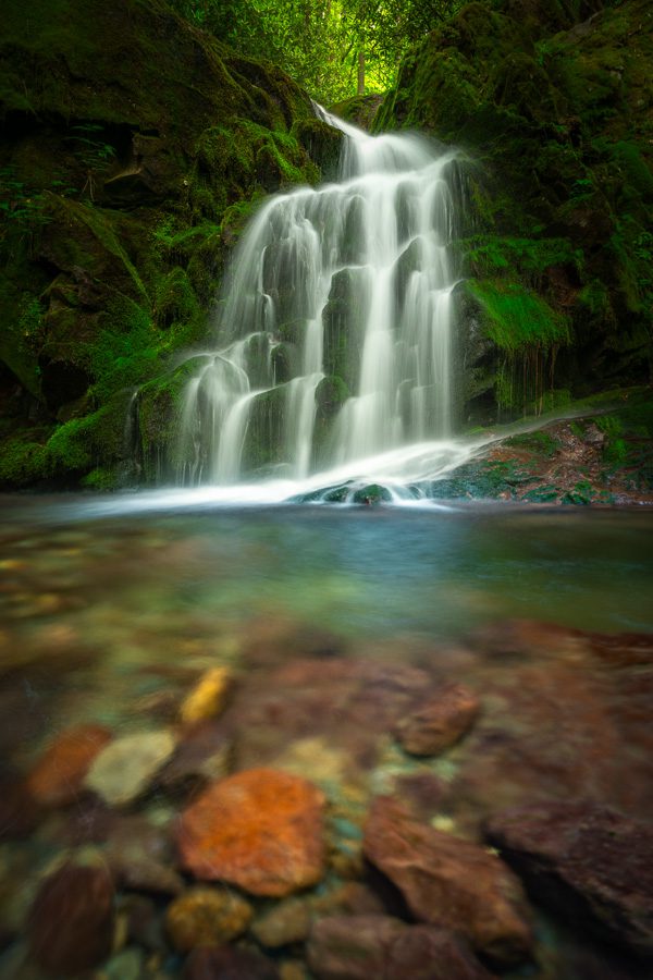 Great Smoky Mountains Spring Photo Workshop