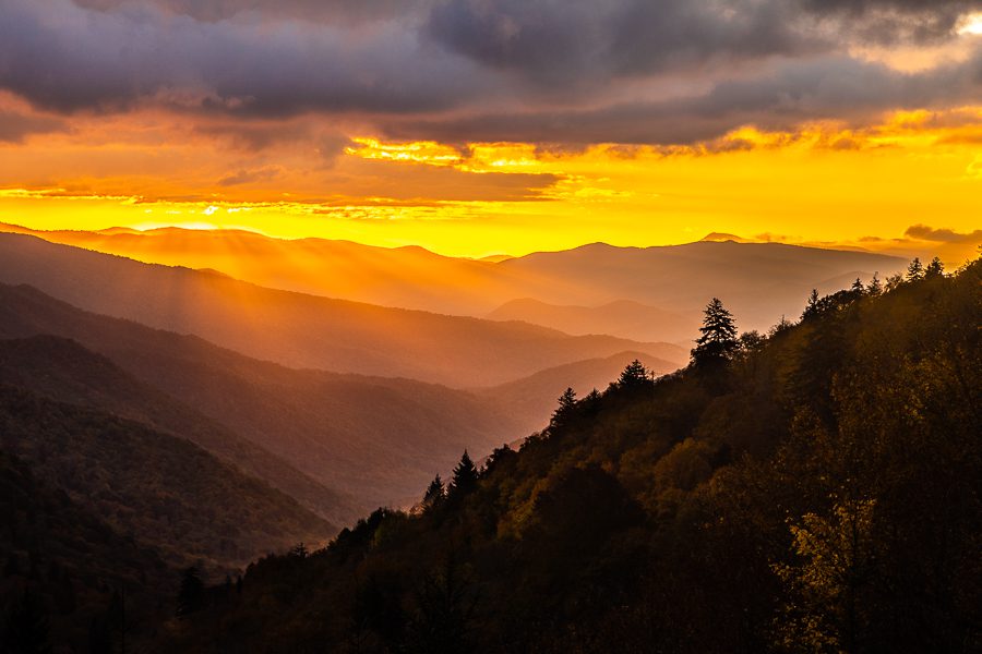 Great Smoky Mountains Photo Workshop