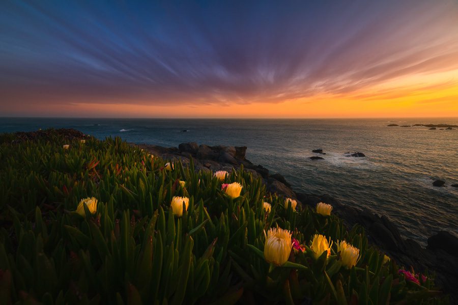 Southern Oregon Coast Photo Workshop