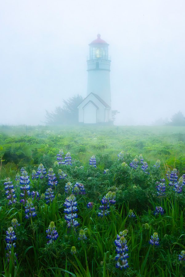 Southern Oregon Coast Photo Workshop