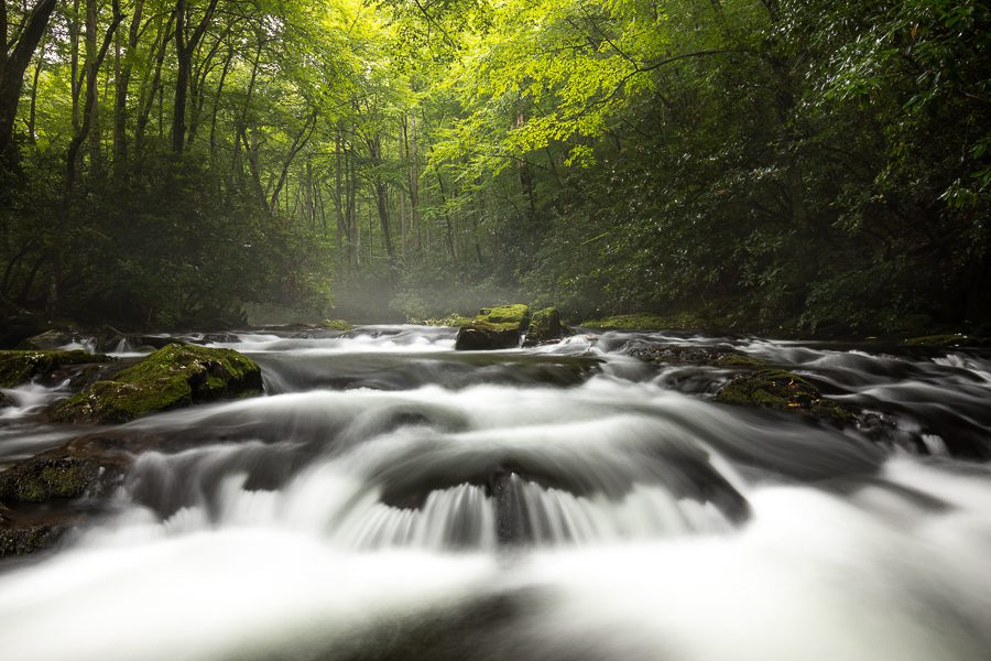 Great Smoky Mountains Photo Workshop