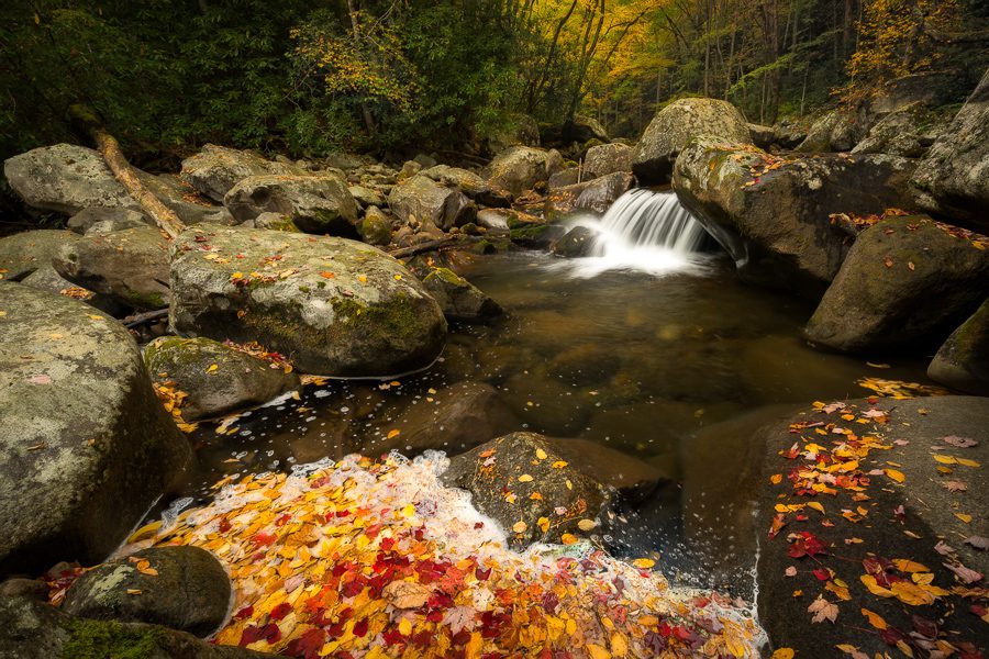 Great Smoky Mountains Photo Workshop Autumn Fall in Tennessee and North Carolina