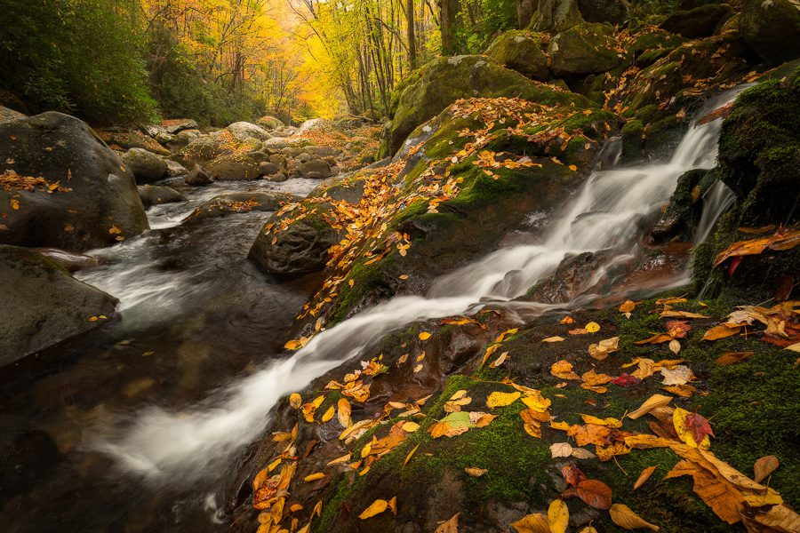Great Smoky Mountains Photo Workshop Autumn Fall in Tennessee and North Carolina