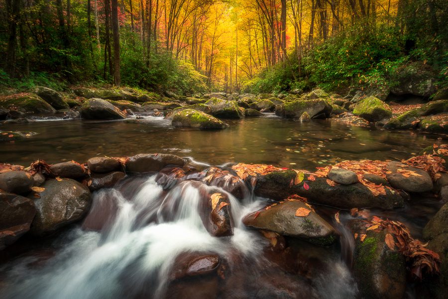 Fall in the Smokies Photo Workshop Autumn