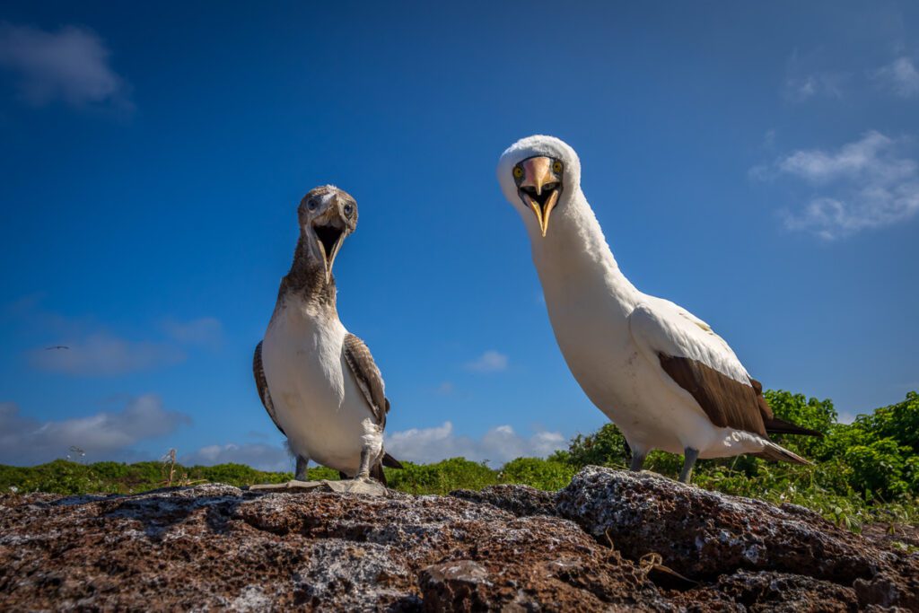 Galapagos Photo Workshop
