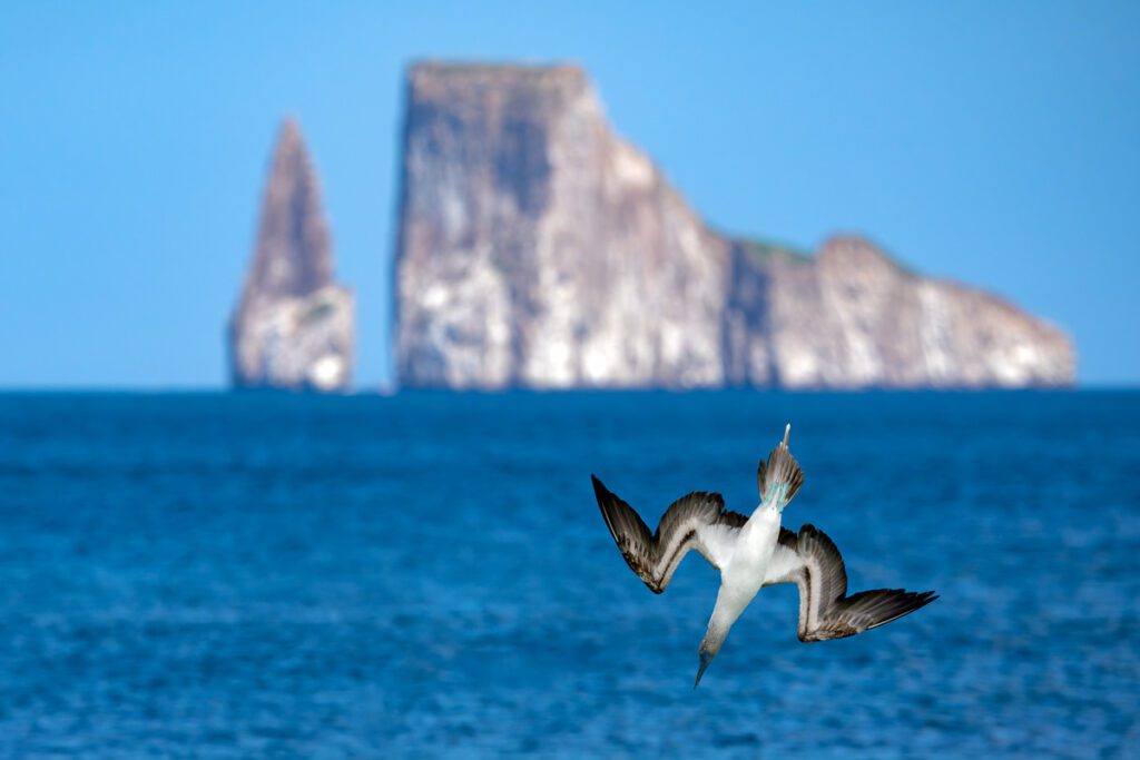 Galapagos Photo Workshop