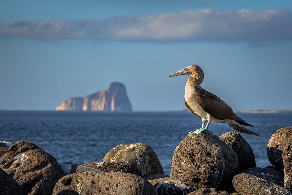 Galapagos Photo Workshop-19 Galapagos Photo Workshop