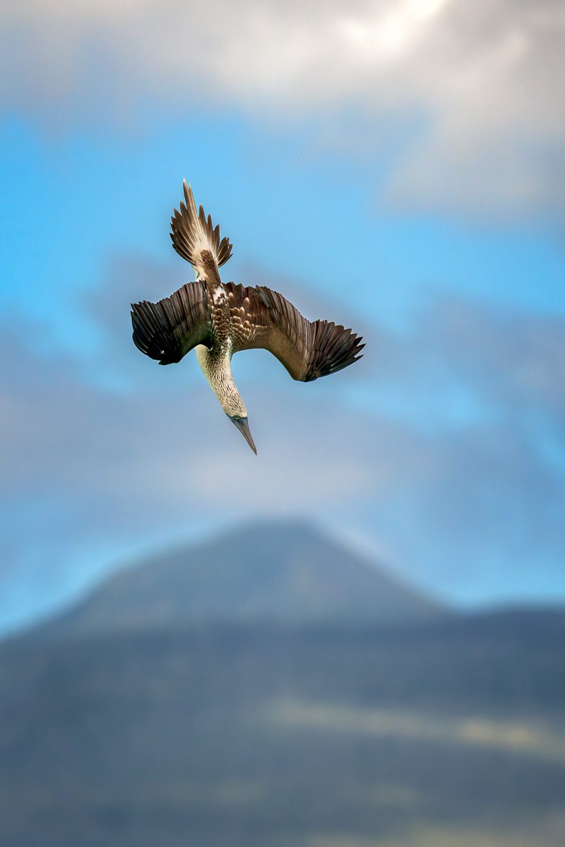 Galapagos Photo Workshop-21 Galapagos Photo Workshop