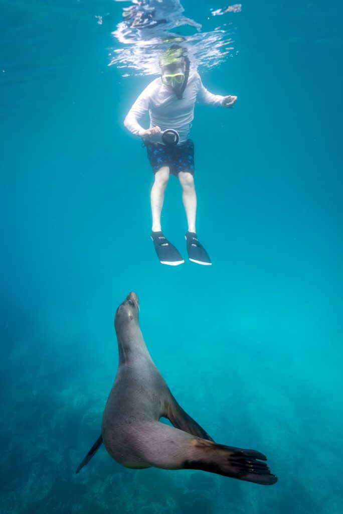 Galapagos Photo Workshop