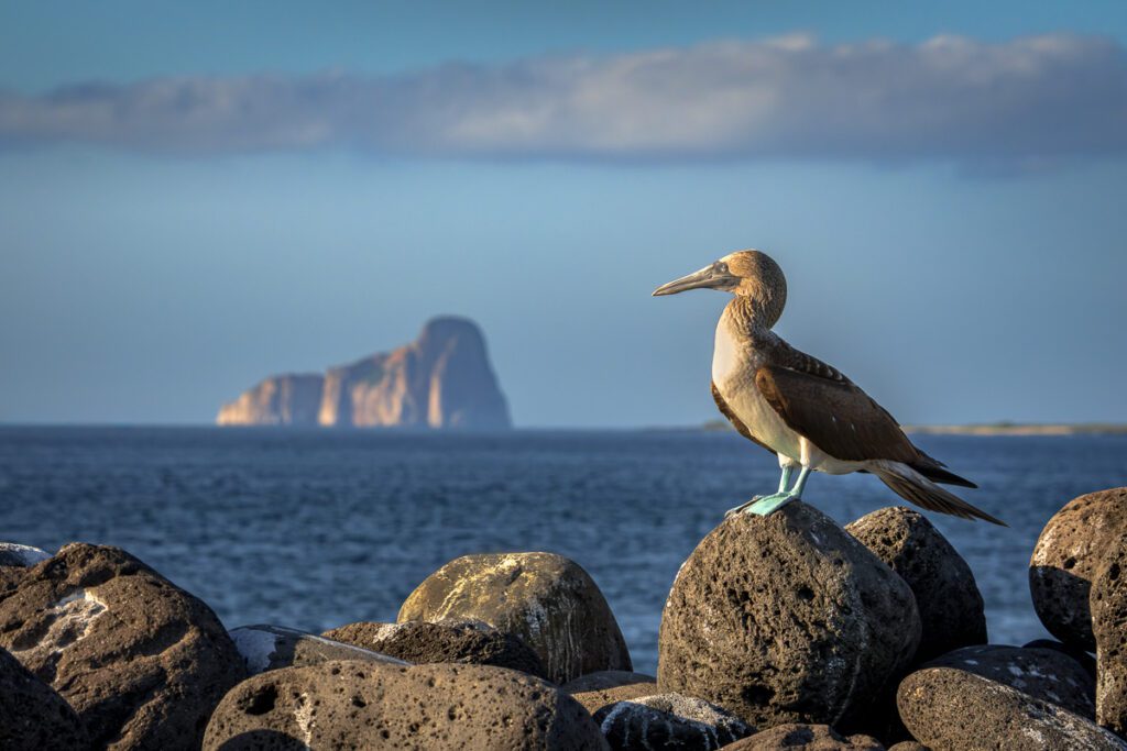 Galapagos Photo Workshop