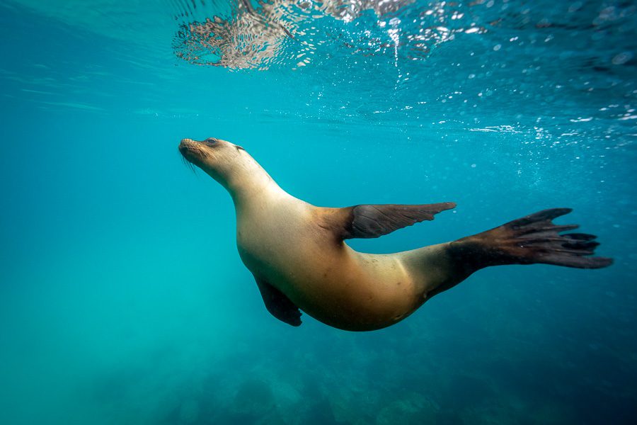 Galapagos Photo Workshop