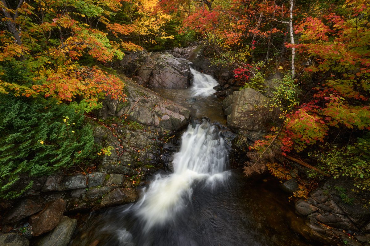 Nova Scotia Fall Photo Workshop