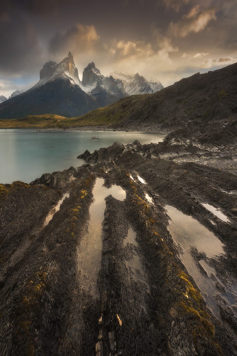 Patagonia Peaks and Pumas Photo Workshop