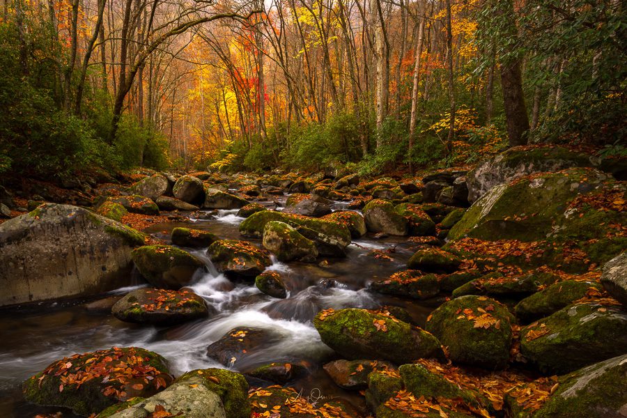 Great Smoky Mountains Autumn Photo Workshop