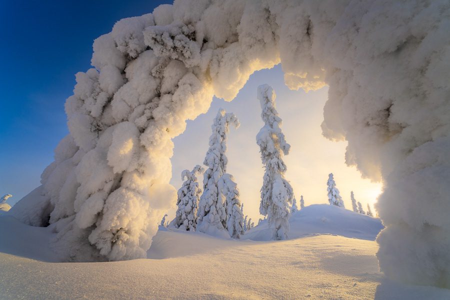 Alaska Aurora Borealis Photo Workshop Winter Northern Lights