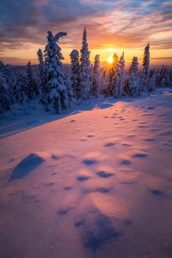 Alaska Aurora Winter Photo Workshop