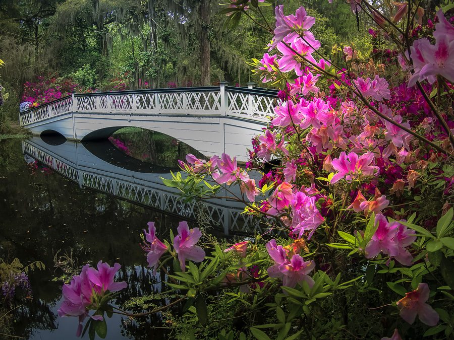 South Carolina Plantations Photo Workshop