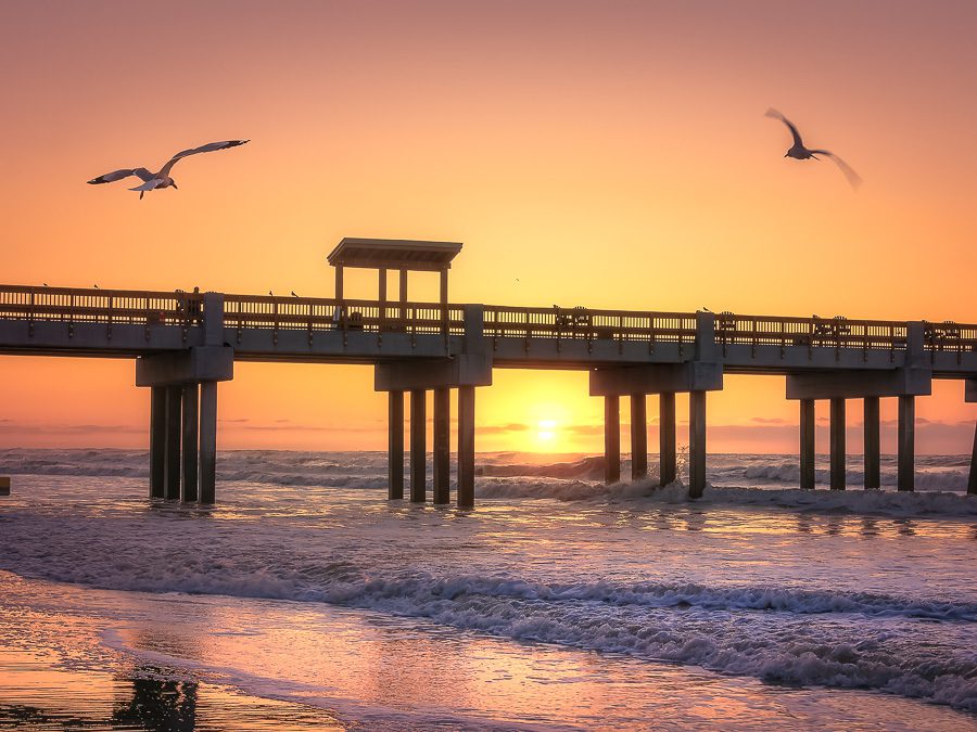 South Carolina Plantations Photo Workshop