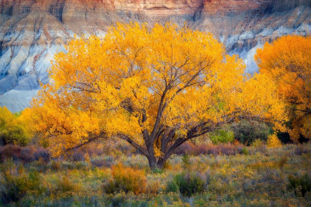 Beyond the Badlands Photo Workshop Utah Hanksville Fall Autumn