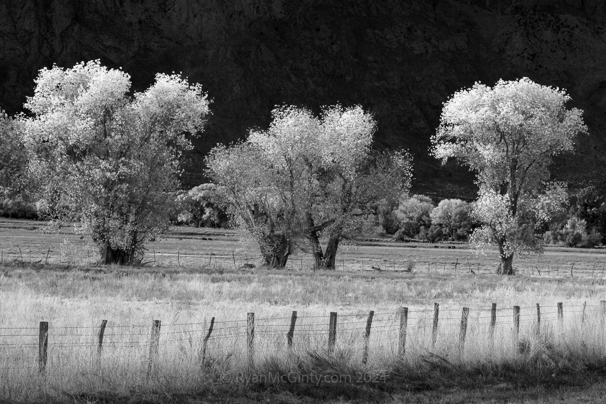 Eastern Sierras Photo Workshop Eastern Sierras Photo Workshop