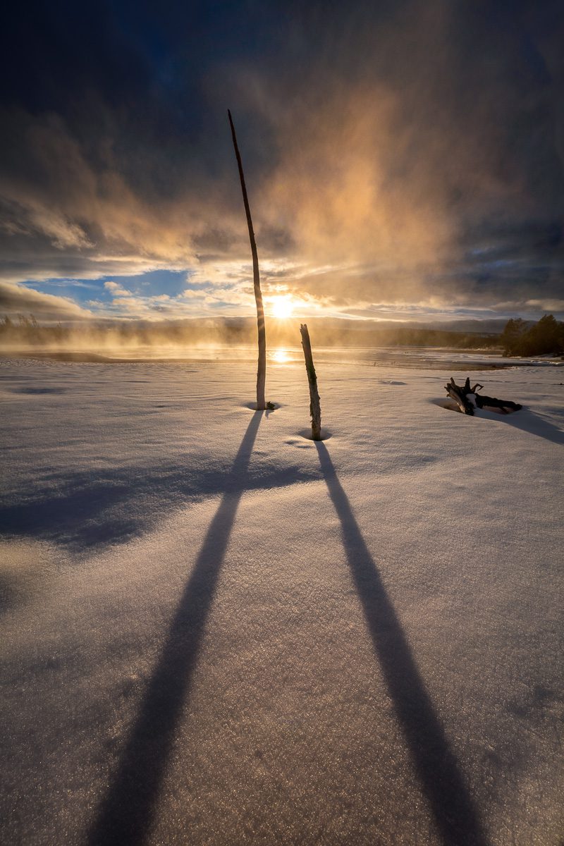 Yellowstone and Tetons Winter Photo Workshop