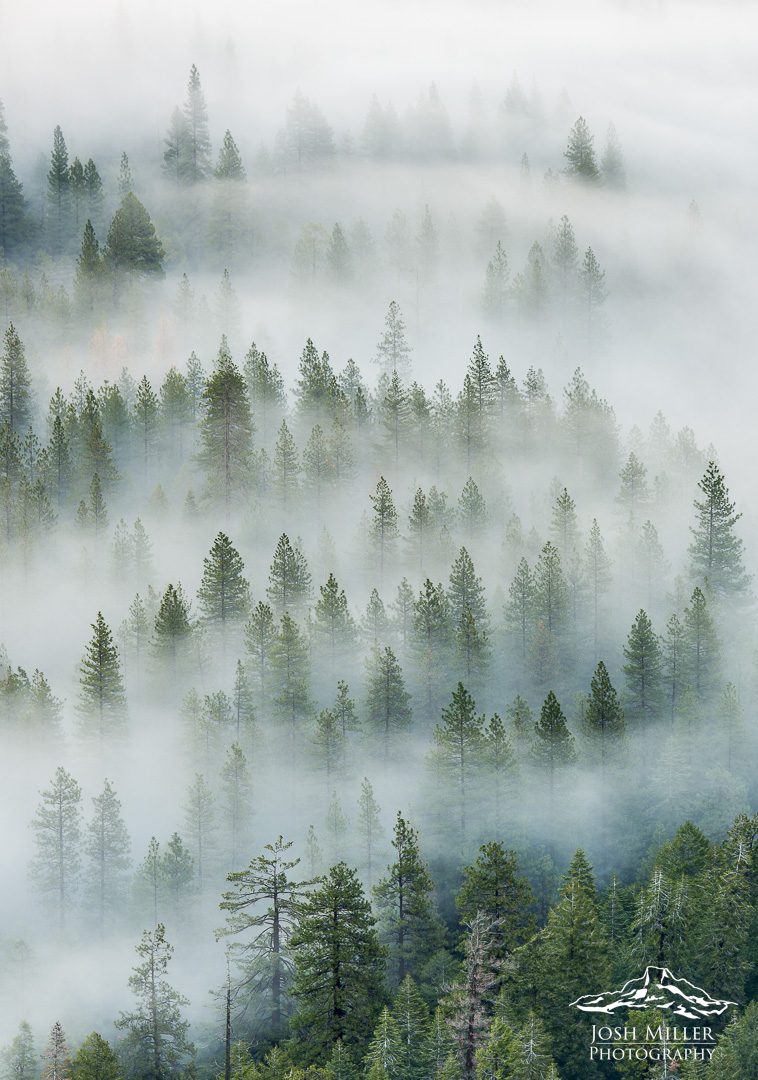 Yosemite Winter Photo Workshop Yosemite Winter Photo Workshop