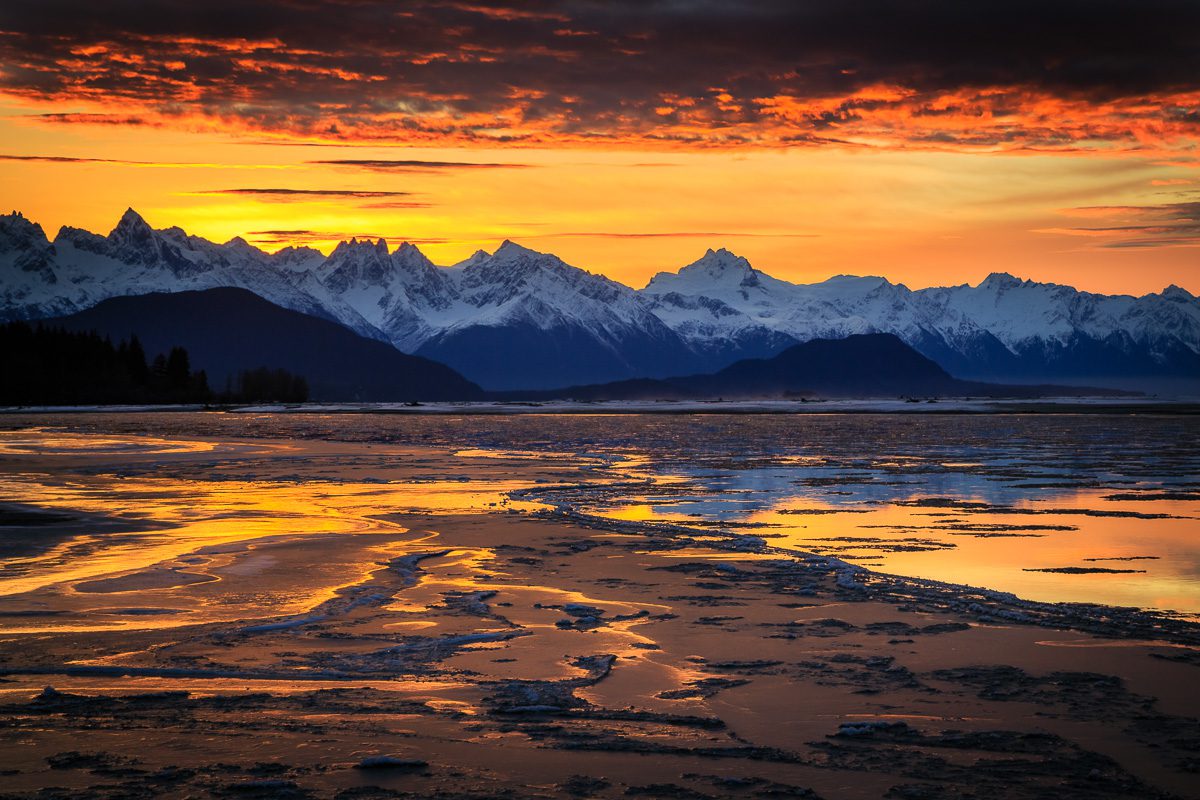 Alaska Bald Eagles Photo Workshop