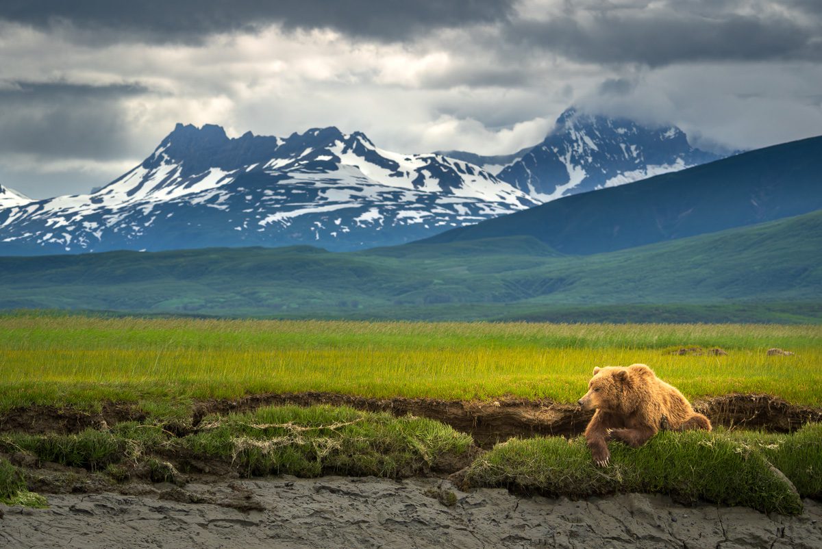 Alaska Bears and Falls Photo Workshop-3 Alaska Bears and Falls Photo Workshop