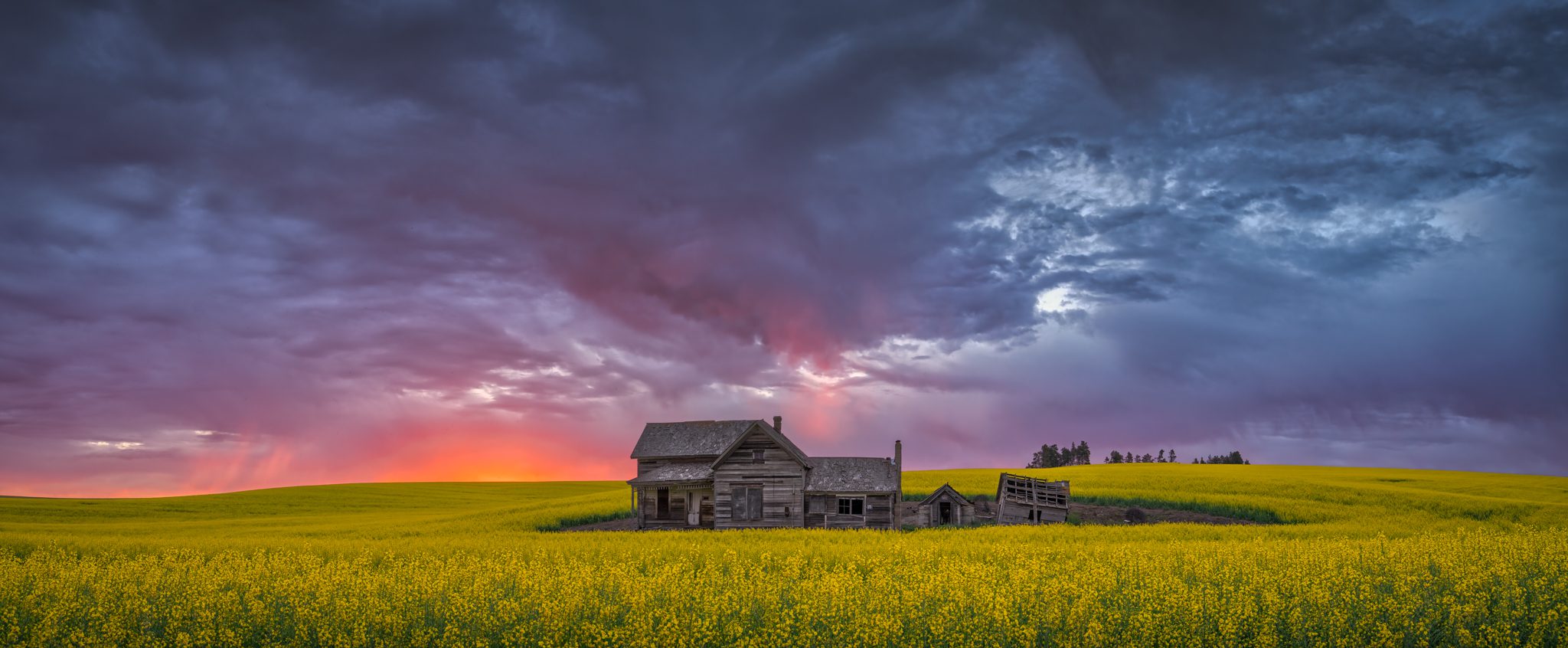 Palouse Photo Workshop