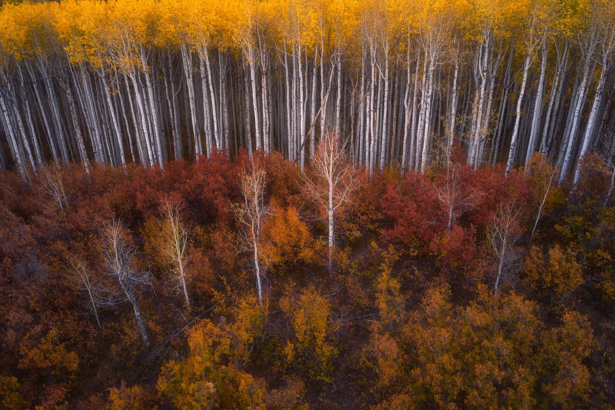 Colorado Fall Colors Photo Workshop