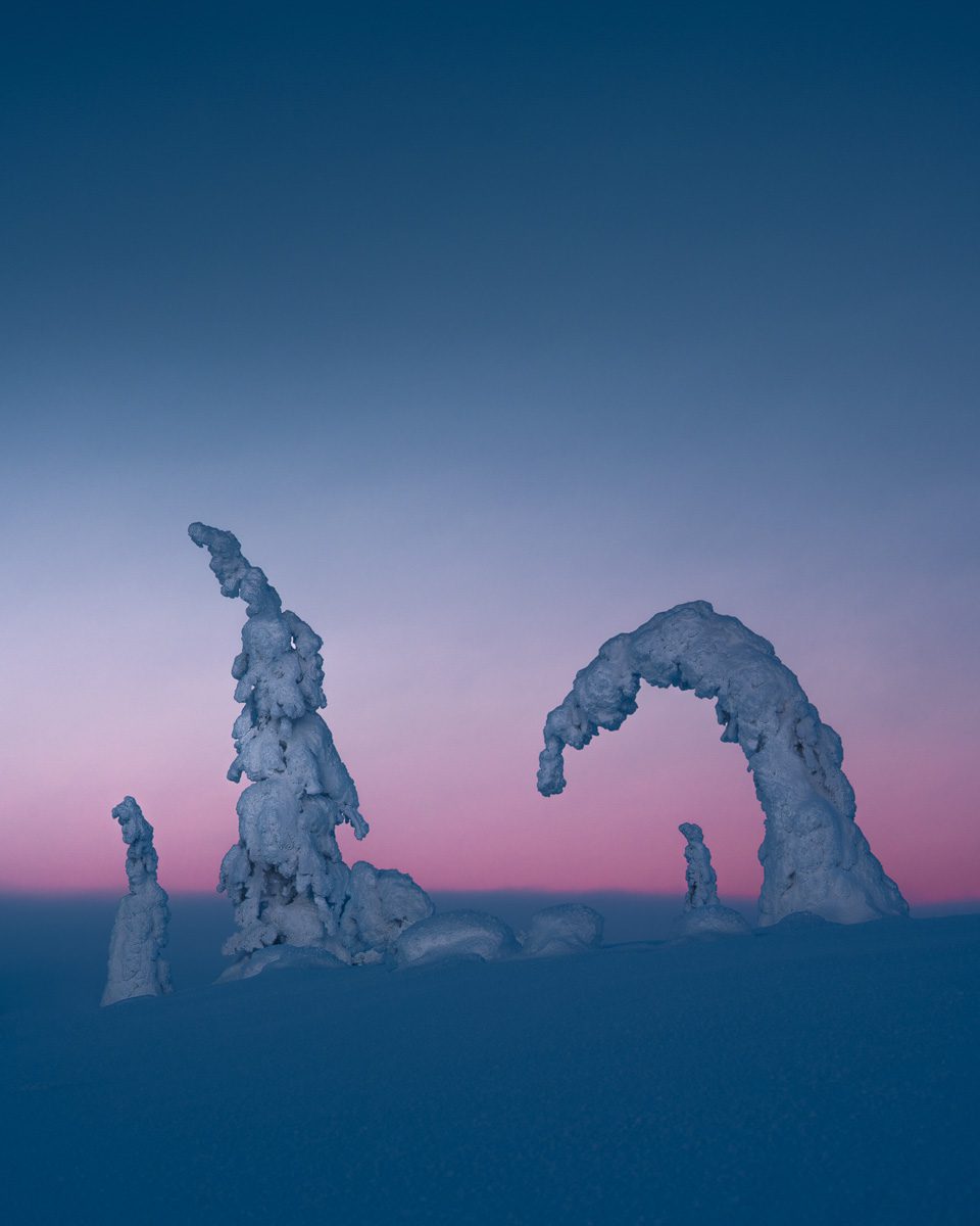 Mystical Lapland Photo Workshop-15 Mystical Lapland Photo Workshop