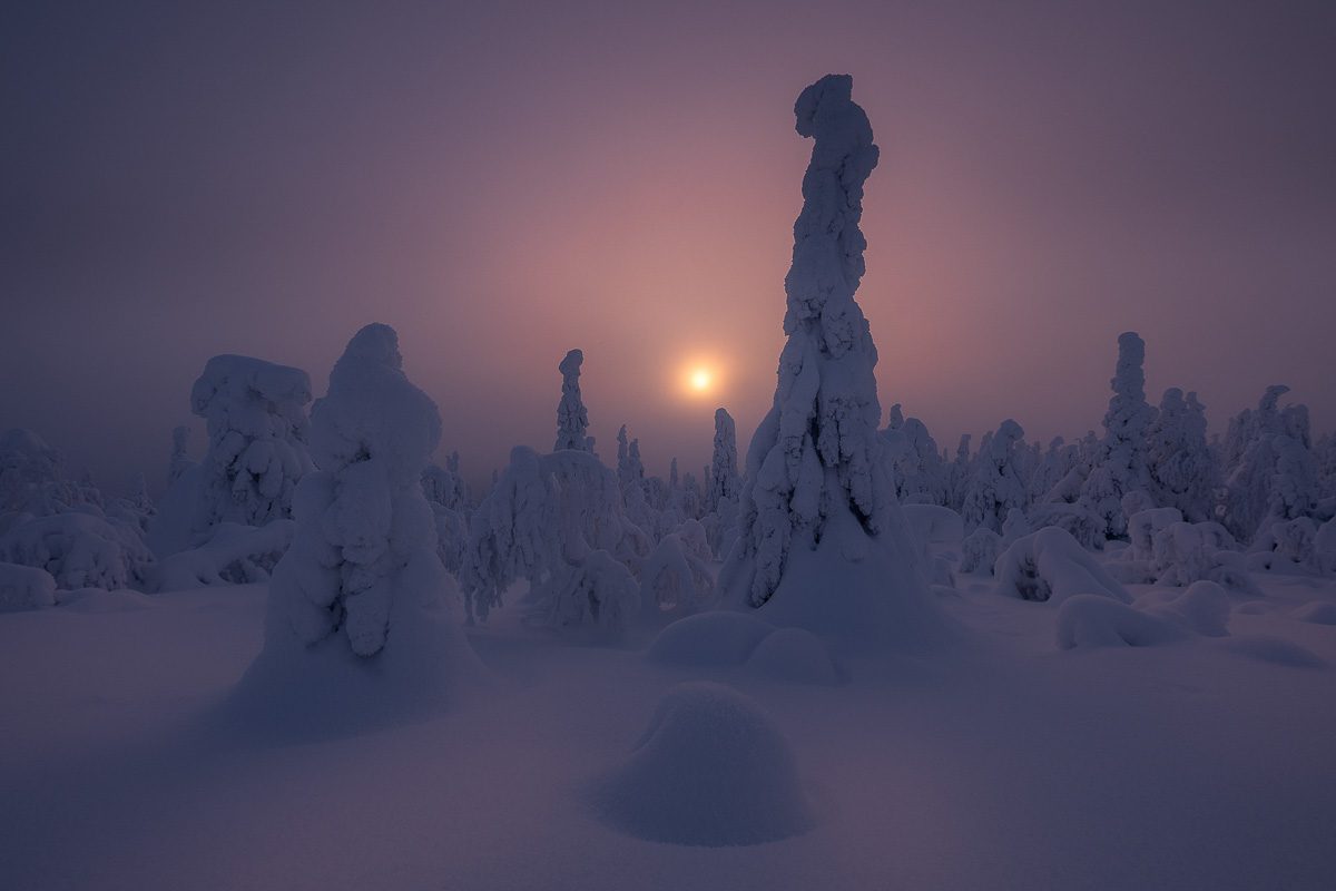 Mystical Lapland Photo Workshop-33 Mystical Lapland Photo Workshop