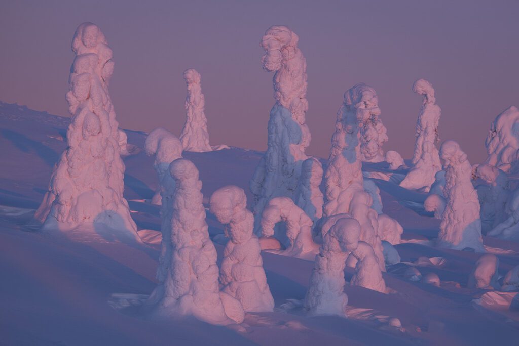 Mystical Lapland Photo Workshop