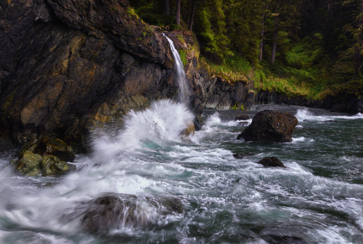 Vancouver Island Photo Workshop Vancouver Island Photo Workshop