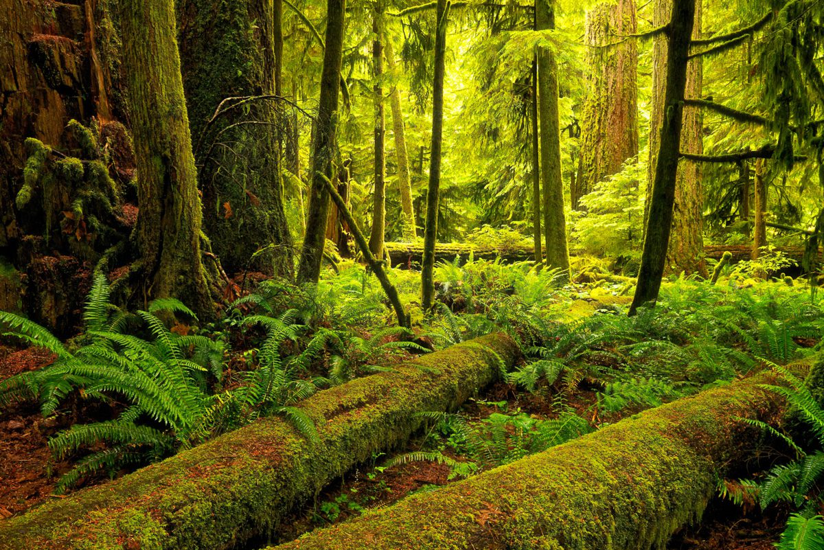 Vancouver Island Photo Workshop