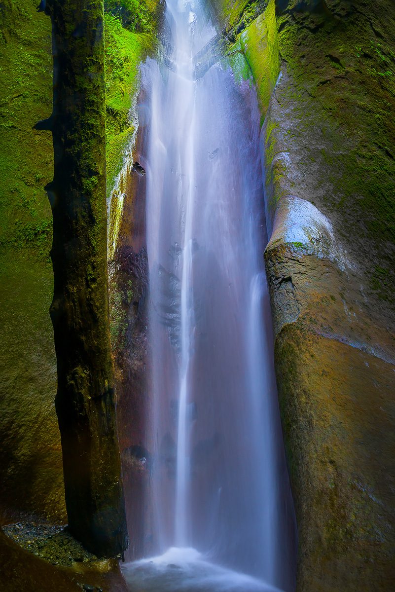 Vancouver Island Photo Workshop