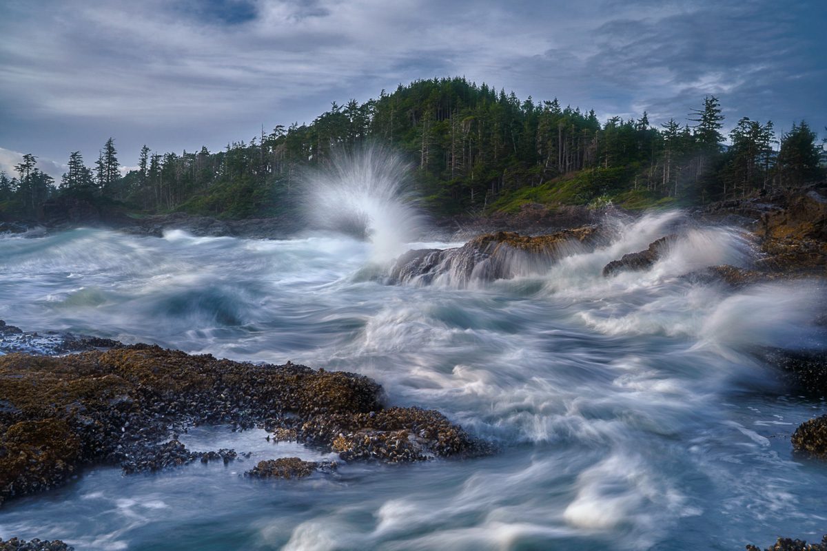 Vancouver Island Photo Workshop
