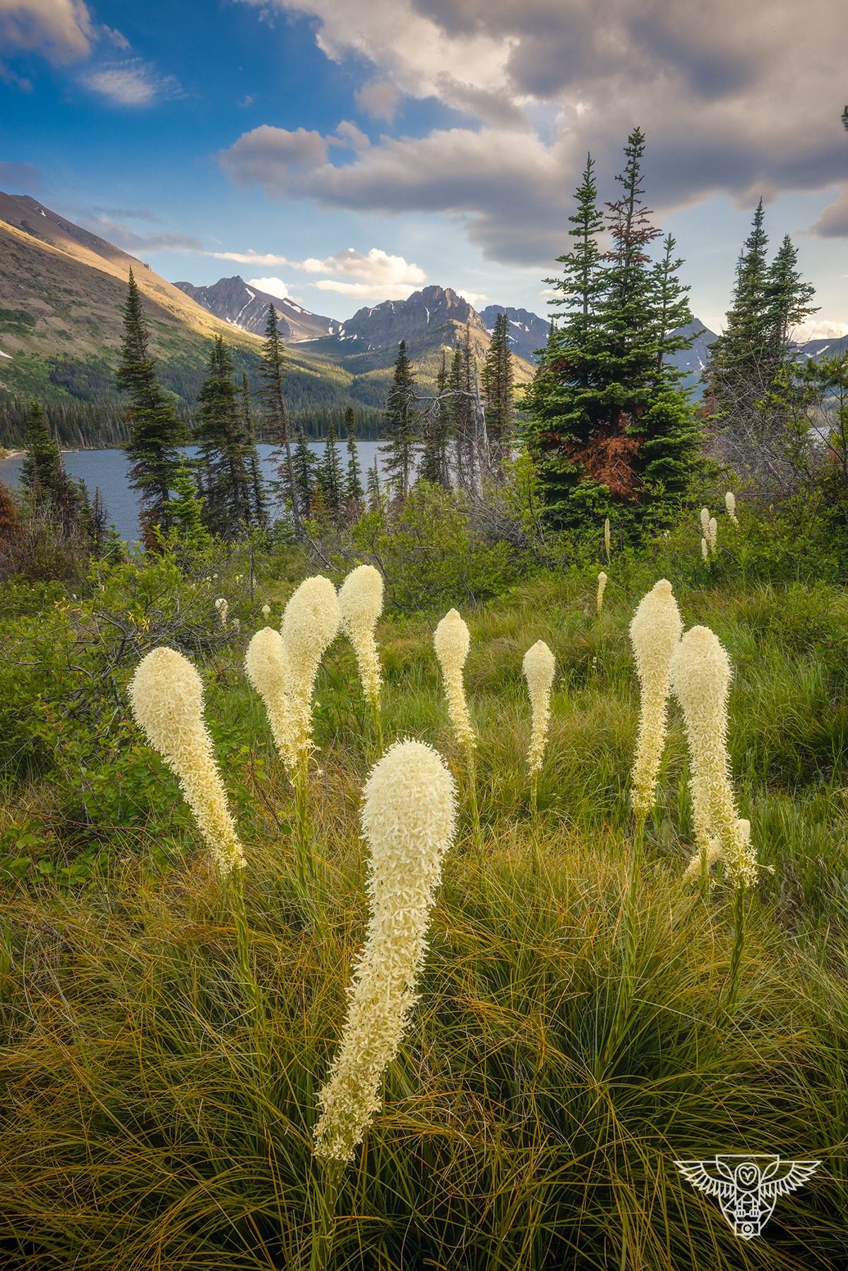 Glacier National Park Photo Workshop Glacier National Park Photo Workshop
