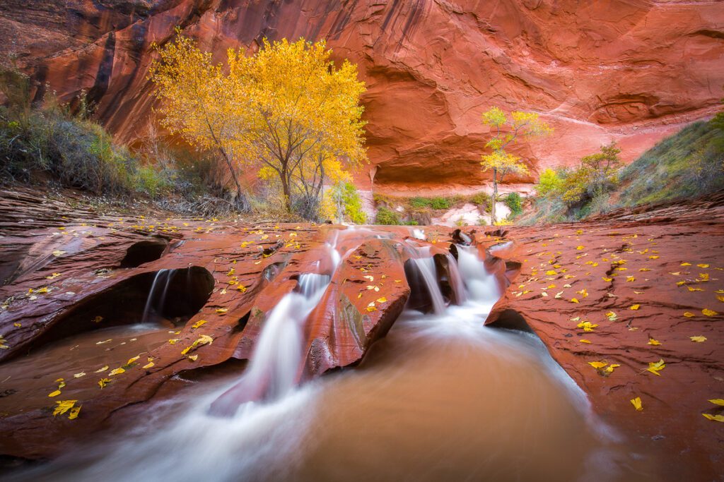 Canyon Colors Photo Workshop : Action Photo Tours