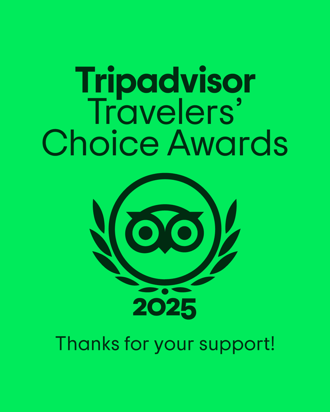 Trip Advisor 2025