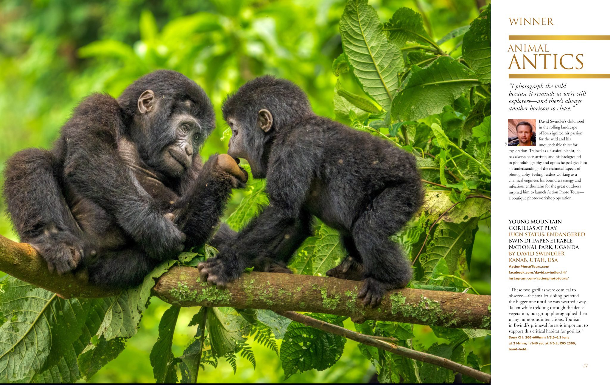 20-21_AnimalAntics (1)