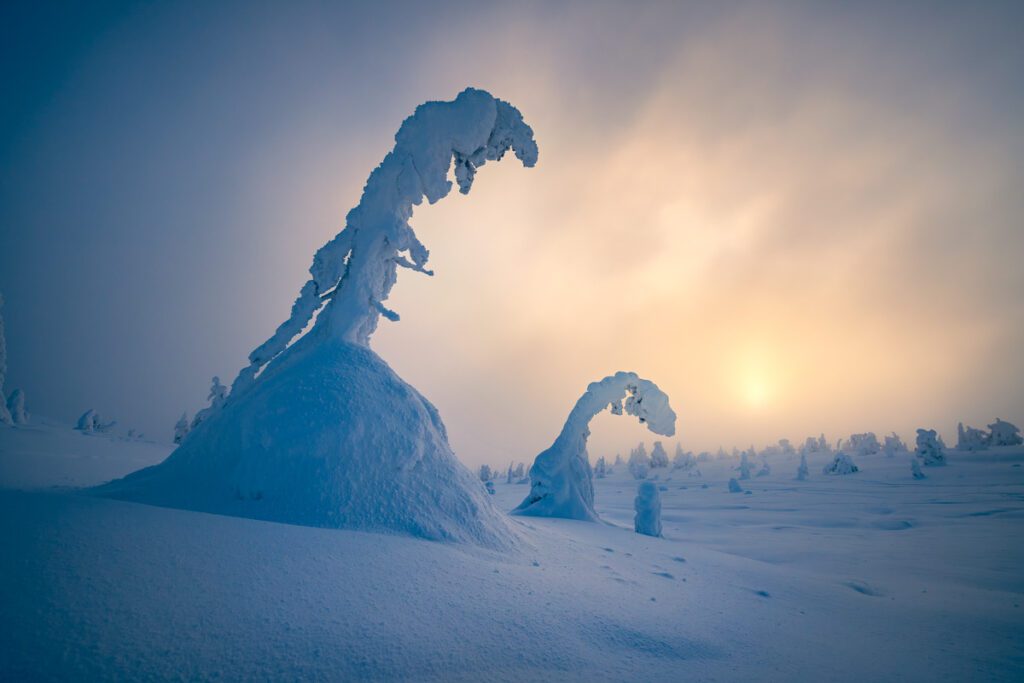 Mystical Lapland Photo Workshop