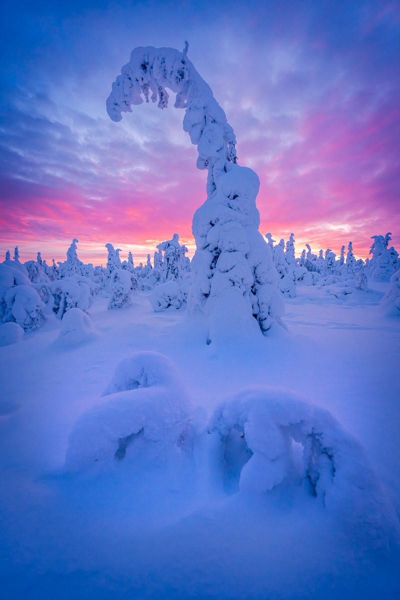 Mystical Lapland Photo Workshop-4 Mystical Lapland Photo Workshop